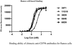 ANTI-CD79BxCD3 BISPECIFIC ANTIBODY AND USE THEREOF