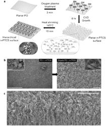 FLUORINE-FREE SUPERHYDROPHOBIC SURFACES, METHODS OF MAKING AND USES THEREOF