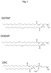 Compositions and methods for targeted delivery to cells