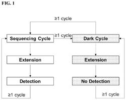 Methods for long read sequencing