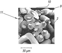 Method for manufacturing a carpet or a rug and a carpet or rug obtained thereby