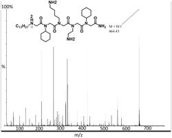 ANTIMICROBIAL COMPOUNDS AND THE METHOD OF USE