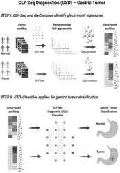 CLINICAL DIAGNOSTICS USING GLYCANS