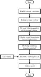 Subtle cornea deformation identification method and device based on pixel-level corneal biomechanical parameter