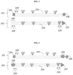 Modified short interfering nucleic acid (siNA) molecules and uses thereof