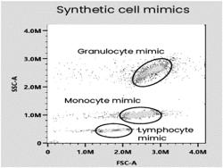 Apoptotic cell mimic