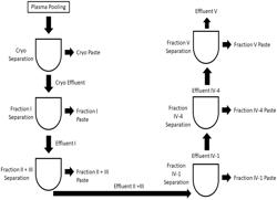 Blood Plasma Fractions for Use in Muscle Regeneration