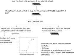 COMPOSITIONS AND METHODS FOR VIRAL SENSITIZATION