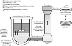 BIOCOMPATIBLE UNDERLAYS FOR LIVING EXTRACTION OF HYDROCARBONS FROM ENGINEERED MICROBES