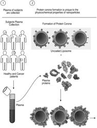 SYSTEM AND METHOD FOR PROTEIN CORONA SENSOR ARRAY FOR EARLY DETECTION OF DISEASES