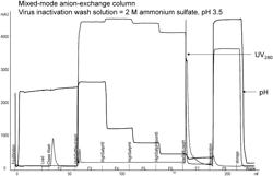 On-column viral inactivation methods