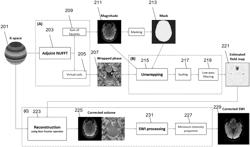 B0 field inhomogeneity estimation using internal phase maps from long single echo time MRI acquisition