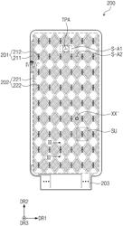 Display module having increased transmittance and electronic device including the display module