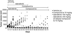 USE OF QUINAZOLINONE COMPOUND FOR THE TREATMENT OF CANCER