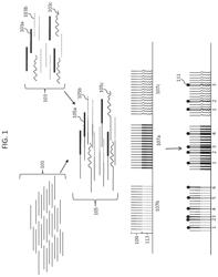 DIGITAL COUNTING OF INDIVIDUAL MOLECULES BY STOCHASTIC ATTACHMENT OF DIVERSE LABELS