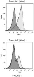 Compounds and therapeutics uses thereof