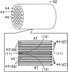 Dehydration method and dehydration apparatus providing increased water permeation