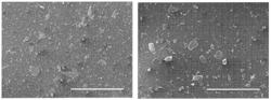 Compositions comprising silicates and methods of use thereof in sand casting