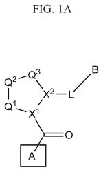 Aryl, heteroaryl, and heterocyclic compounds for treatment of medical disorders