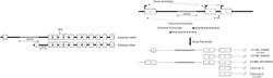 Modulators of chromosome 9 open reading frame 72 gene expression and uses thereof