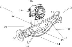 Coriolis measuring sensor and Coriolis measuring device