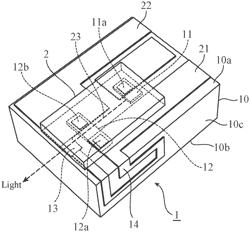 Optical communication device and transmission module