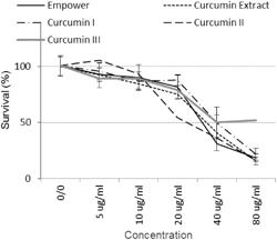 CURCUMIN-BASED COMPOSITIONS & METHODS OF USE THEREOF