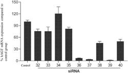 NUCLEIC ACID TARGETING ANGIOTENSINOGEN AND USES THEREOF