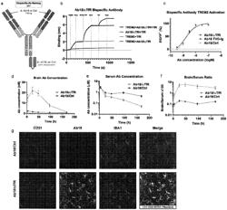 TREM2 ANTIGEN BINDING PROTEINS AND USES THEREOF