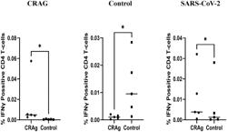 MICROBIAL CROSS-REACTIVE ANTIGENS FOR USE IN THE STIMULATION OF T-CELLS