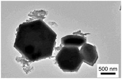 Mesoscopic inverted perovskite solar cell