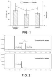 Method for producing special oil OPO by way of microbial fermentation