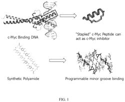 Artificial transcription factors comprising a sliding domain and uses thereof