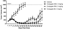 PEPTIDE-CONTAINING LINKERS FOR ANTIBODY-DRUG CONJUGATES