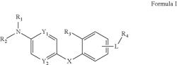 SYNTHESIS AND APPLICATION OF PHOSPHATASE DEGRADER