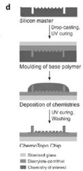 MATERIALS CHEMISTRIES AND MICROTOPOGRAPHIES AND USES THEREOF