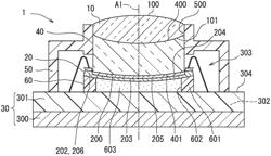 Camera module having curved imager