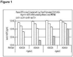 RNA CONSTRUCTS AND USES THEREOF