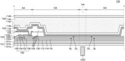 DISPLAY DEVICE INCLUDING SEE-THROUGH AREA FOR CAMERA